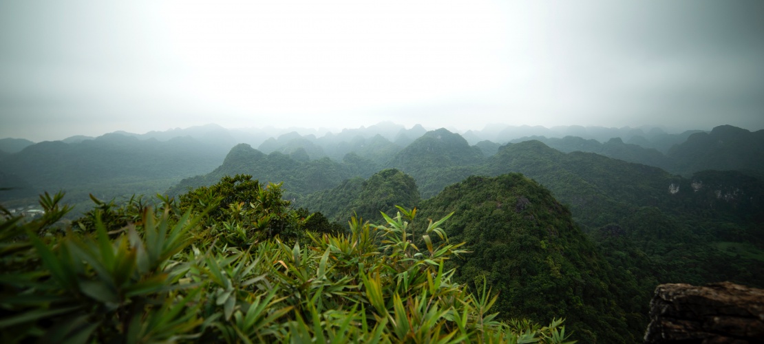 Web Sitemiz Yenilendi