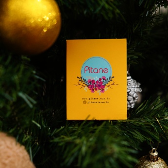 Küçük Sürprizler