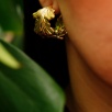 Handmade Leaf Design Gold Plated Brass Earrings