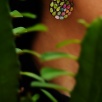 Handmade Design Silver Earrings with Tourmaline and Peridot Stones