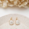 Silver Earrings with Mother of Pearl