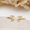 Silver Earrings with a Bird of Fortune Design