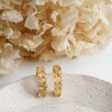 Silver Earrings with Rutile Quartz Stones