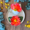 Coffee Mug Set with Big Red Flower
