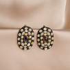 Silver Earrings with Opal and Kyanite Stones